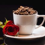 are coffee grounds good for roses
