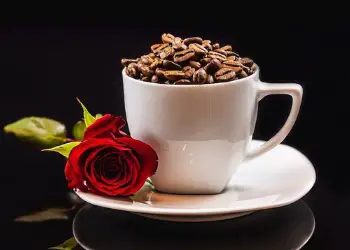 are coffee grounds good for roses