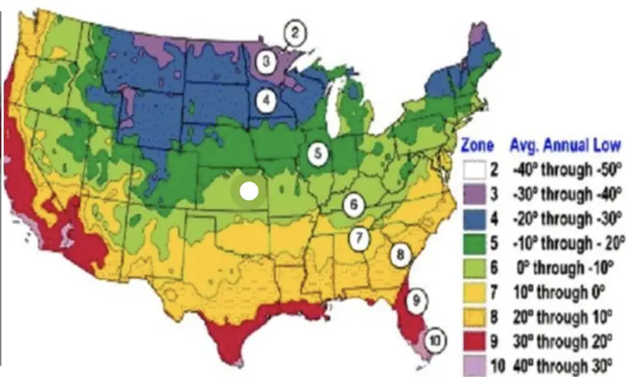 best month to plant roses - USDA Zoning Map