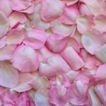 are rose petals edible