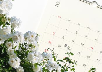 best month to plant roses