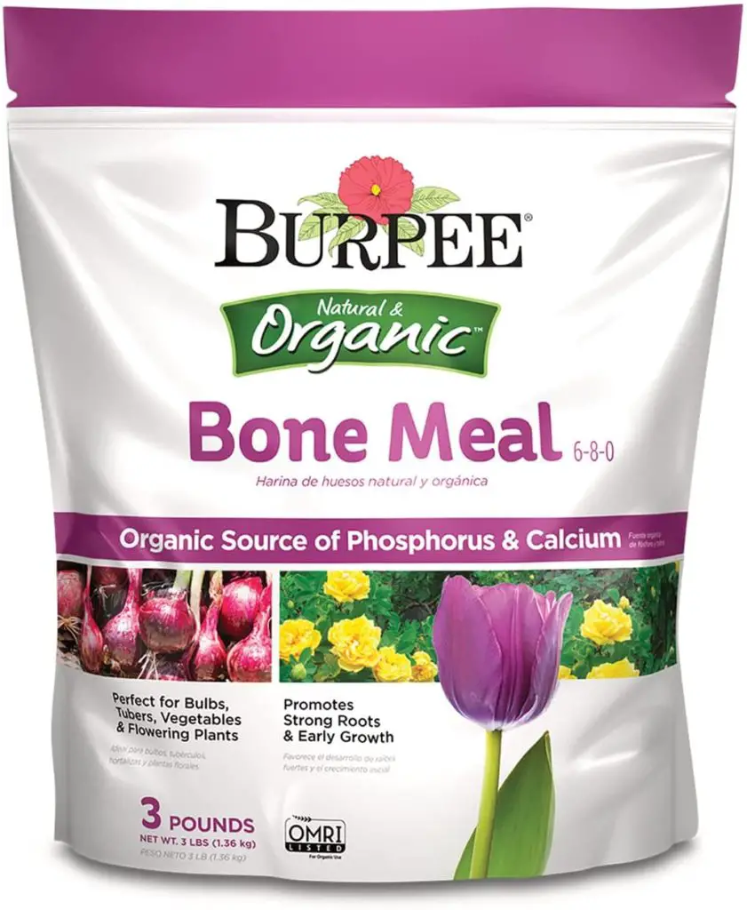 burpee bone meal