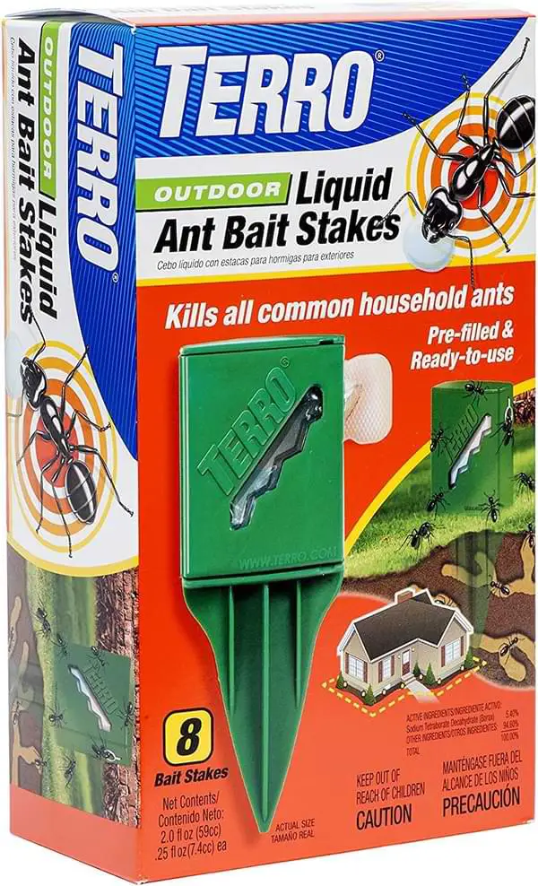 liquid ant bate trap