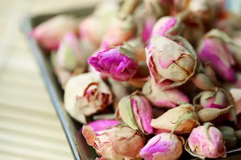 Ways to Dry Roses, Methods to Preserve Roses Forever