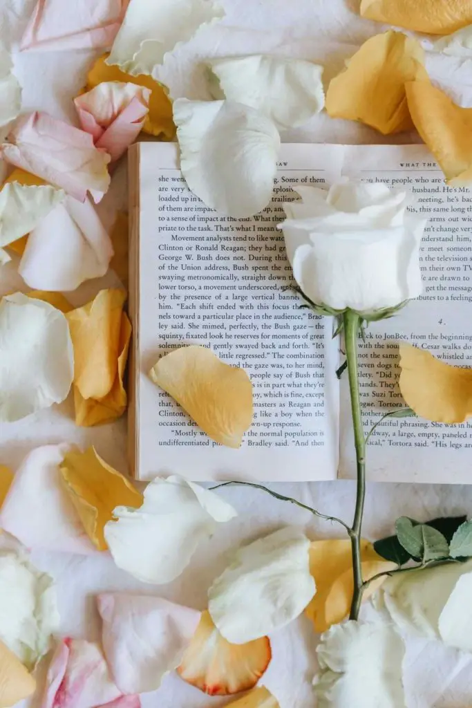 white rose meaning in literature