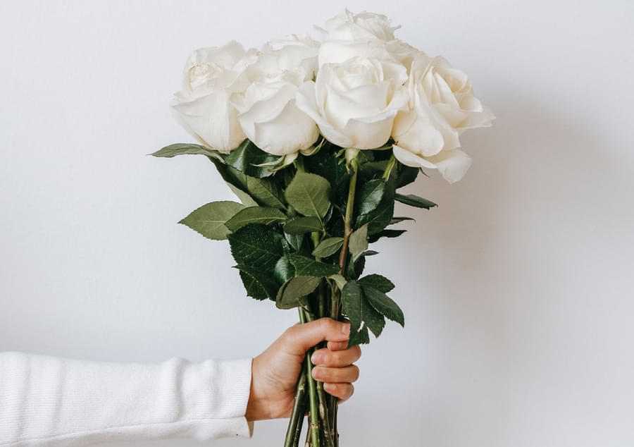 white roses meaning
