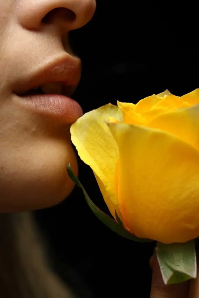 yellow rose meaning to women