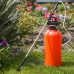 NPK ratio for roses