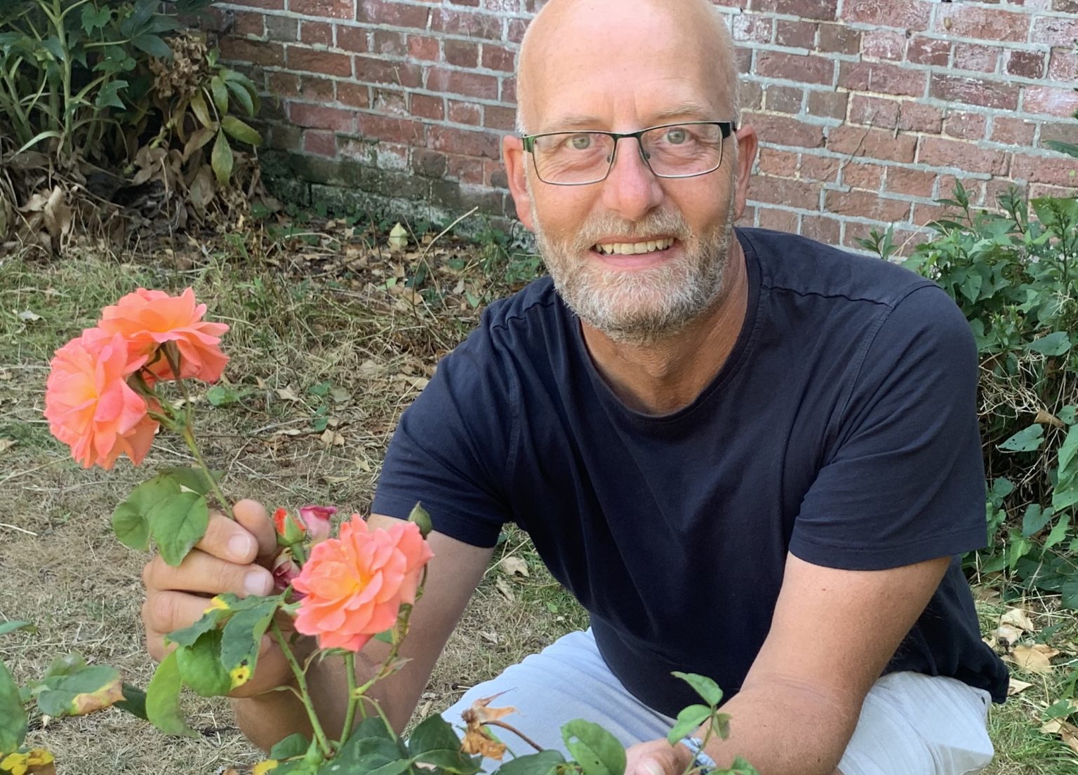 Do Roses Need Full Sun? Which Rose Plants for Partial Sun