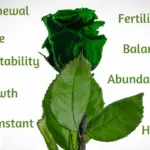 green rose meaning