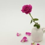 how to make cut roses last longer