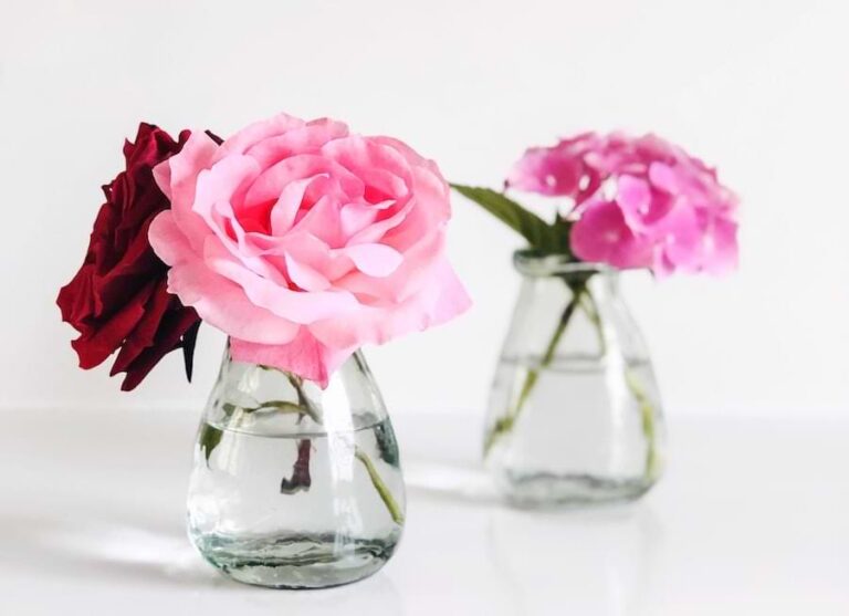 make-cut-roses-last-longer-9-easy-tips-for-more-rose-life