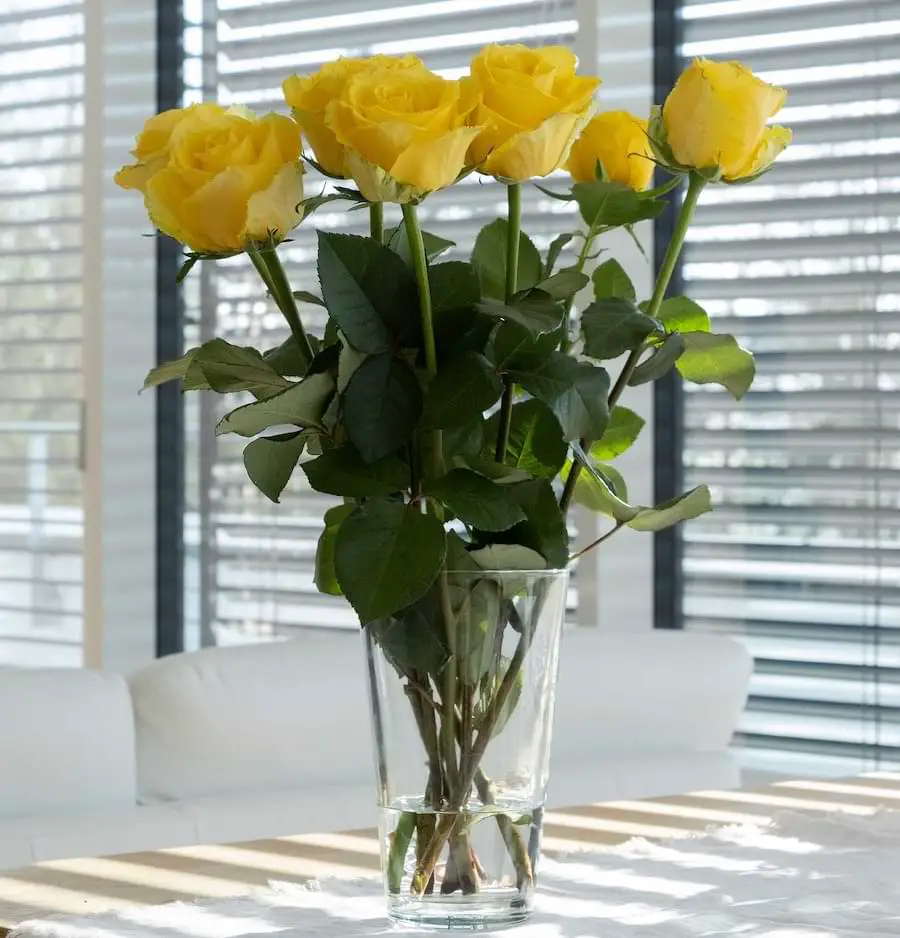 how to make roses last longer - yellow roses in a vase