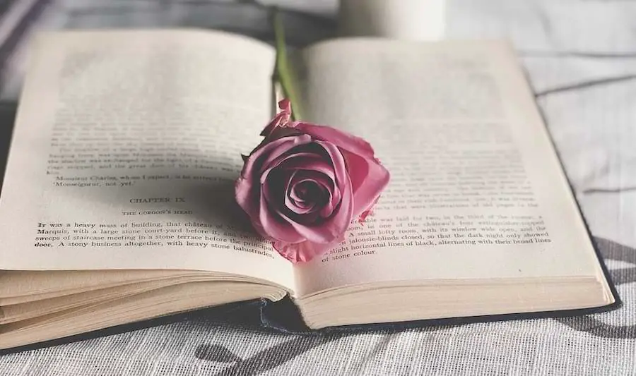 rose meaning in literature