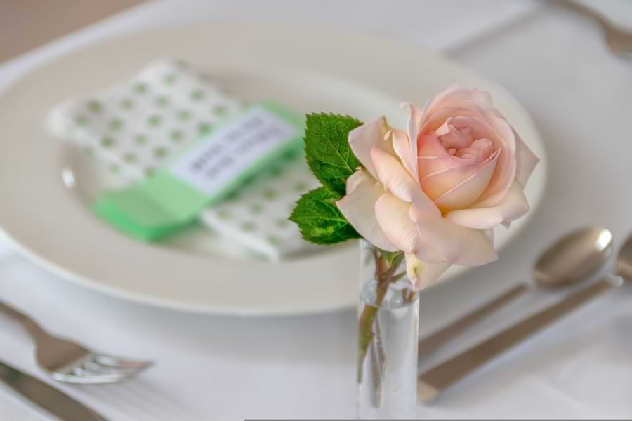 single cut rose in small vase