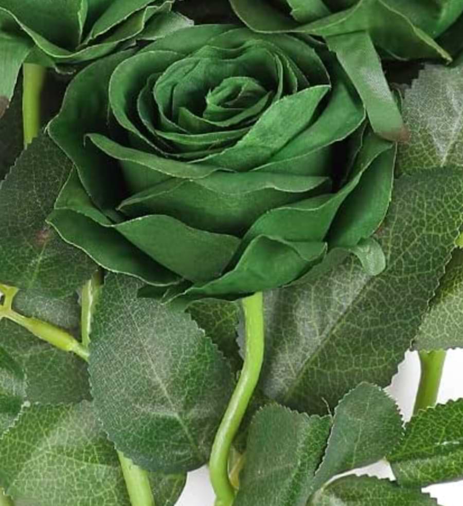 single green rose