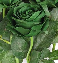 Green Rose Meaning: Renewal, Stability, Love, Fertility, and More