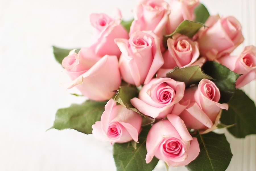 pink rose meaning - bouquet