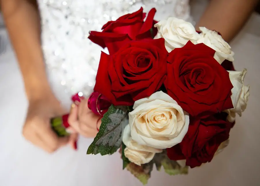 meaning of red roses at events and occasions
