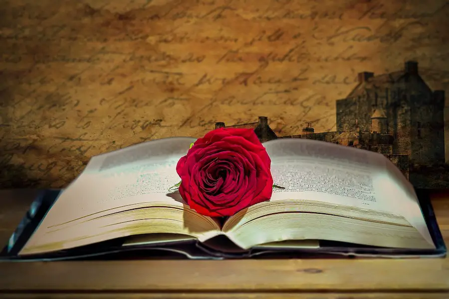 meaning of red roses in literature