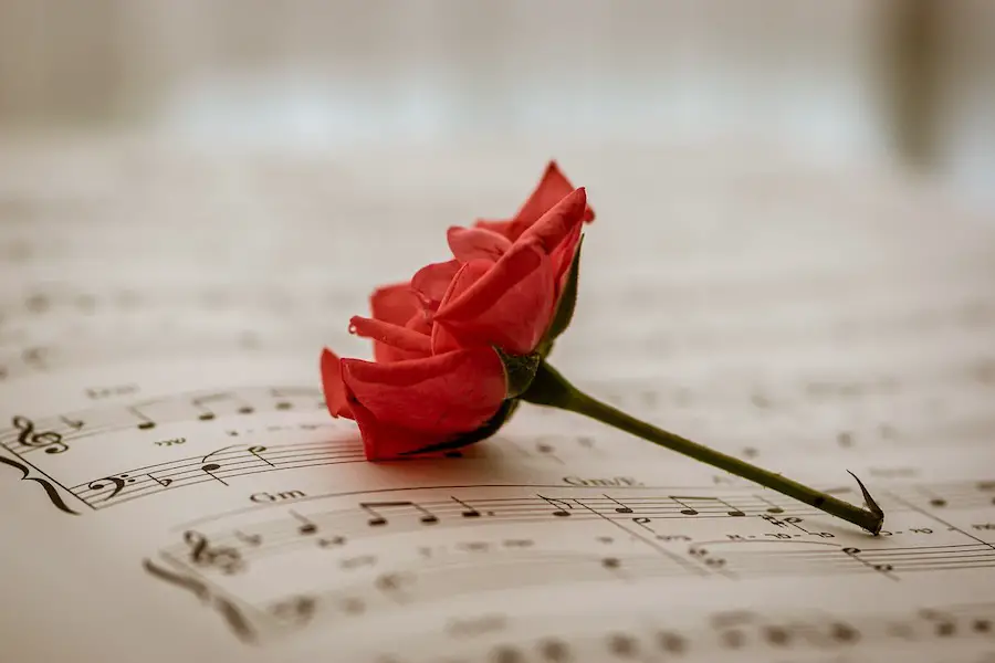roses in music